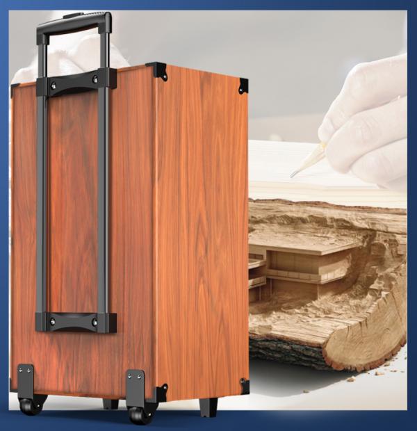 國貨之光,索愛SA-T5移動拉桿戶外音箱夠全能、夠響亮 國貨之光,索愛SA-T5移動拉桿戶外音箱夠全能、夠響亮