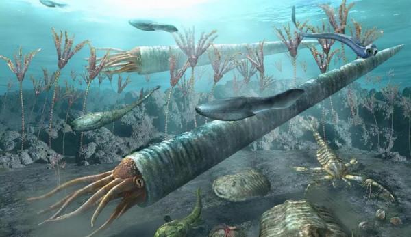 章魚有兩個記憶系統,三顆心臟,九個腦袋,為何成了一道美味? 章魚有兩個記憶系統,三顆心臟,九個腦袋,為何成了一道美味?