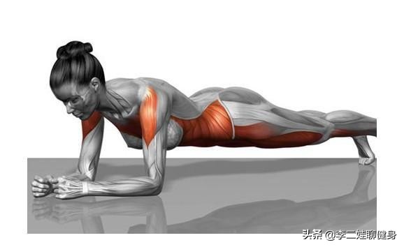 想練腹部，先了解它，然後全方位去鍛鍊它