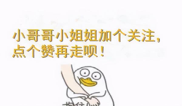 長期喂這些食物,會讓金吉拉身體“垮掉” 長期喂這些食物,會讓金吉拉身體“垮掉”