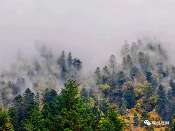 【最新美圖】此生不去澤蕩湖,逢人莫說賞秋色 【最新美圖】此生不去澤蕩湖,逢人莫說賞秋色