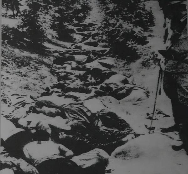 南京大屠殺有多慘？倖存者回憶當年慘狀：我們對日本人沒有好感