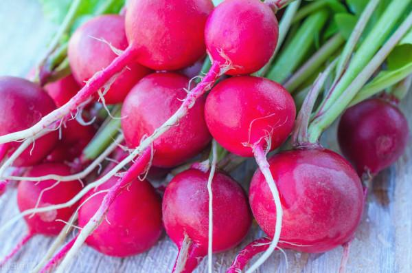 盤點5種冬天不怕凍的蔬菜，越到冬天越好賣