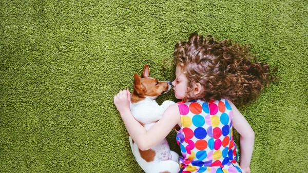 人類幼崽與貓狗能同時養嗎？