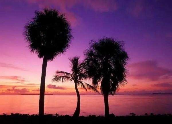 超美的自然風光分享（六十多幅畫）