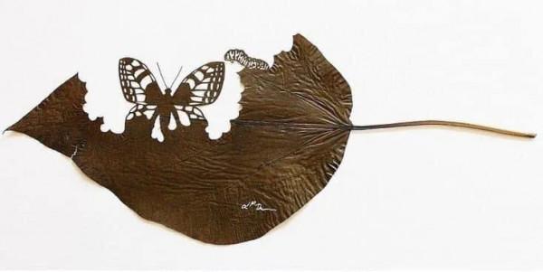 一葉知秋,一葉一世界 一葉知秋,一葉一世界