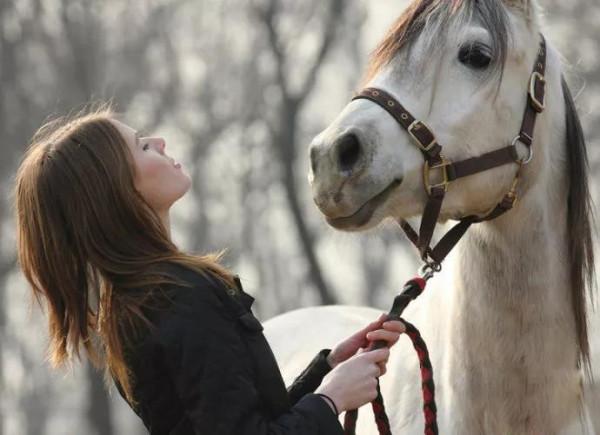 1982年,野馬報恩方式特別,全家人給野馬下跪 1982年,野馬報恩方式特別,全家人給野馬下跪