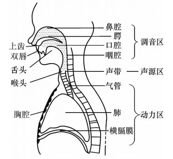 灰機、停果、的的……孩子4歲,說話不清、發音不準,問題嚴重嗎 灰機、停果、的的……孩子4歲,說話不清、發音不準,問題嚴重嗎