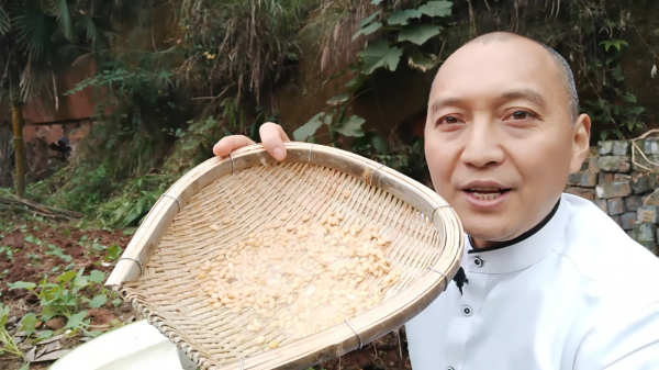 農民扔掉的冬瓜籽，磨成細粉衝紅糖水喝，喉嚨舒服不咳嗽