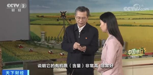 中國人每9碗飯中，就有1碗來自這裡！咱“中華大糧倉”產量或再創新高