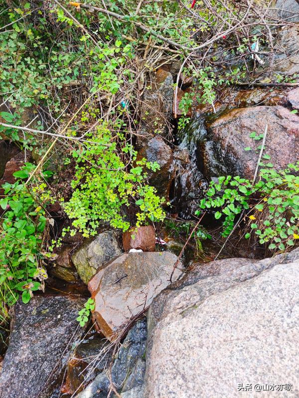 石家莊井陘錦山，雲鎖群山、霧漫叢林，雲橋飛渡，一顆橡果落下來
