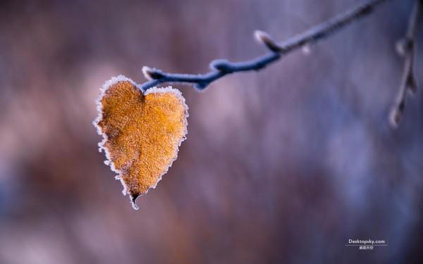 調節自己情緒的小技巧,情緒低落的時候,做這些事會好很多 調節自己情緒的小技巧,情緒低落的時候,做這些事會好很多