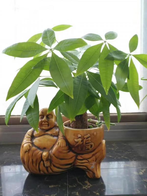 王森新哲學之：《論風度》