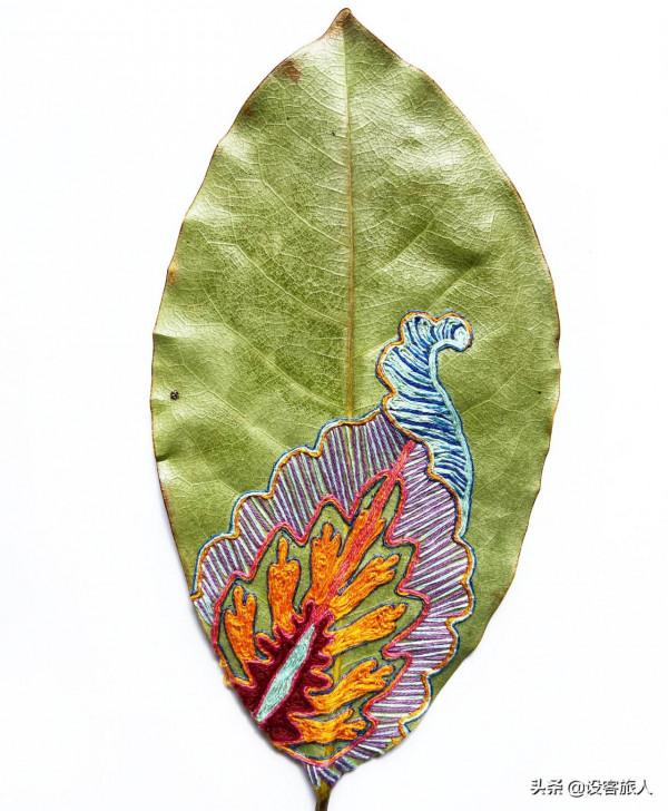 充滿創意和活力的植物刺繡,為幹葉標本增色不少 充滿創意和活力的植物刺繡,為幹葉標本增色不少