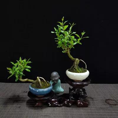 100個有趣的成語歇後語，與人對話交流，不會讓你顯得詞窮