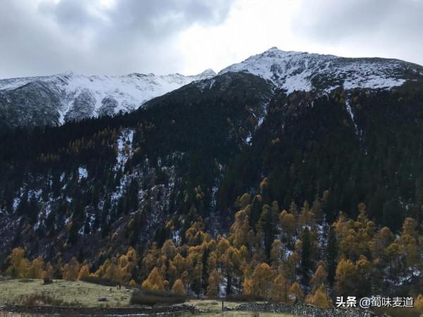 四川.雅克夏雪山 四川.雅克夏雪山