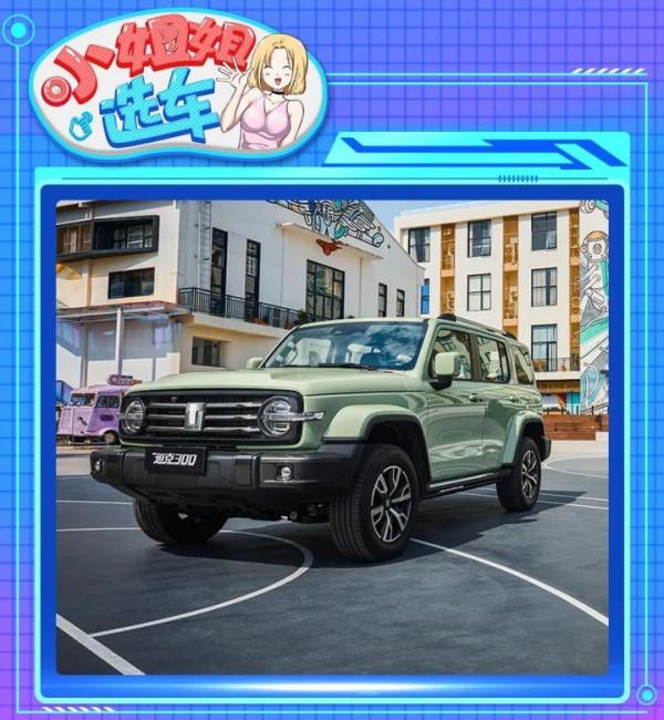 【小姐姐選車】硬派SUV之爭！坦克300城市版對比北京BJ40獵人版