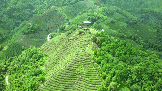 比鳳凰靜謐，比桂林迷人，廣西這座長壽小城，看完想去隱居幾天