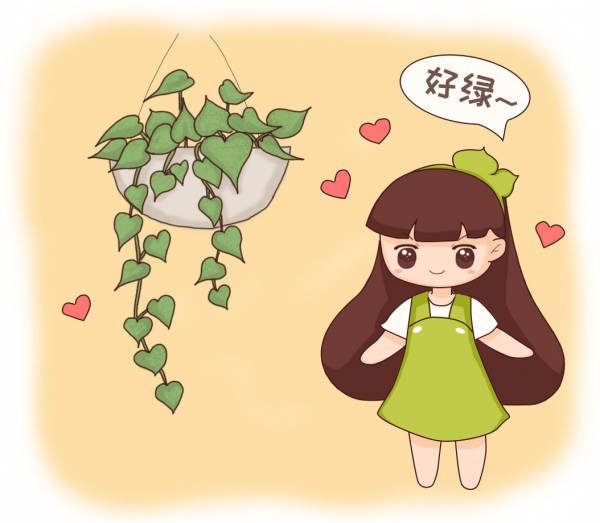 養花交過的智商稅，8年資深花農告知你，這5點坑了你不少錢