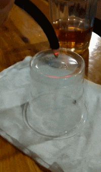 眼力測試！如果你看到的是一群人在游泳，那趕緊去看醫生吧