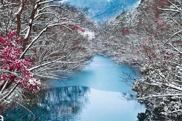 這裡的霧凇，驚豔了西河的冬日時光