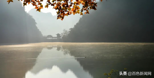 美到不捨得眨眼！來德保，邂逅黑天鵝
