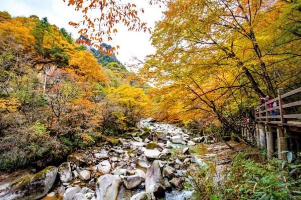 黑熊溝——四川光霧山