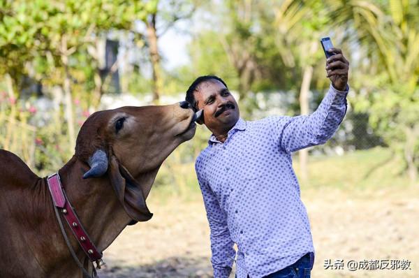 致命的拍攝：印度自拍死亡率全球第一