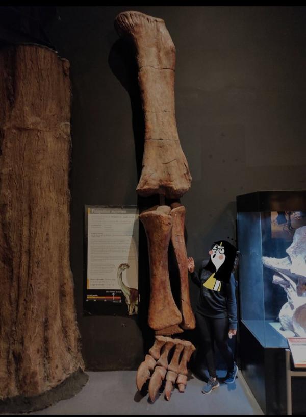 33張罕見的照片,白鸛把孩子從高空扔出巢穴,滑鼠手機你見過嗎? 33張罕見的照片,白鸛把孩子從高空扔出巢穴,滑鼠手機你見過嗎?