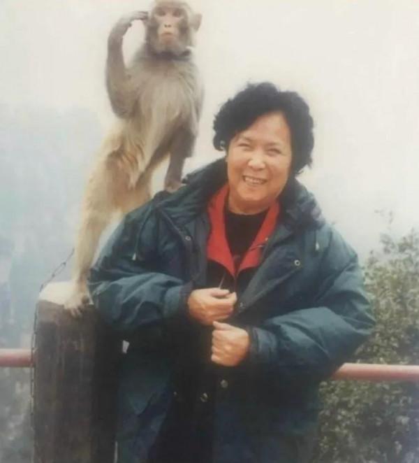 時隔17年舊地重遊拍攝《真假美猴王》,續集口碑為何遠不如前作? 時隔17年舊地重遊拍攝《真假美猴王》,續集口碑為何遠不如前作?