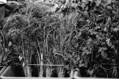 吃這三種菜儘量別丟葉