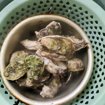烤生蠔健康營養、不油不膩，一家人晚飯吃真舒服