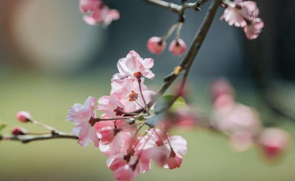 關係再好,也要注意“分寸”,一不小心就會得罪人 關係再好,也要注意“分寸”,一不小心就會得罪人