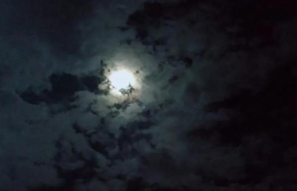 2002年，日本19歲女孩半夜兼職回家路上慘死，警方半年後鎖定真兇