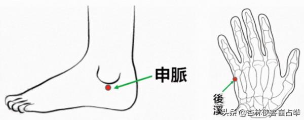 痛症總論——痛點不固定、全身痛、全身肌肉痛,三步走幫你改善 痛症總論——痛點不固定、全身痛、全身肌肉痛,三步走幫你改善