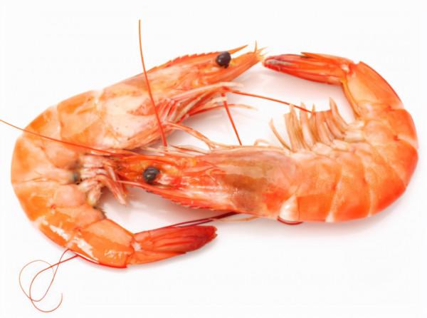 大腦“喜歡”這幾種食物，核桃不在其中，建議過50歲後常吃