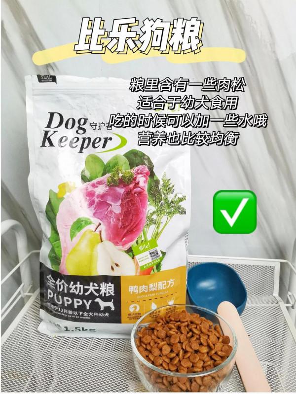 2021狗糧｜誰會是好狗糧呢