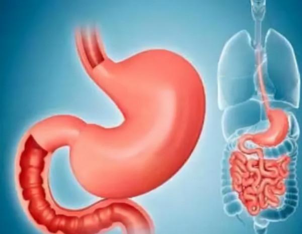 玉米是胃炎的發物嗎?建議:秋養胃,這3類食物儘量少碰 玉米是胃炎的發物嗎?建議:秋養胃,這3類食物儘量少碰