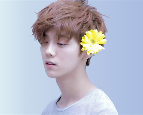 《哥哥》趙文卓繡花惹爭議,反“娘”需謹慎,兩類人該區別對待 《哥哥》趙文卓繡花惹爭議,反“娘”需謹慎,兩類人該區別對待