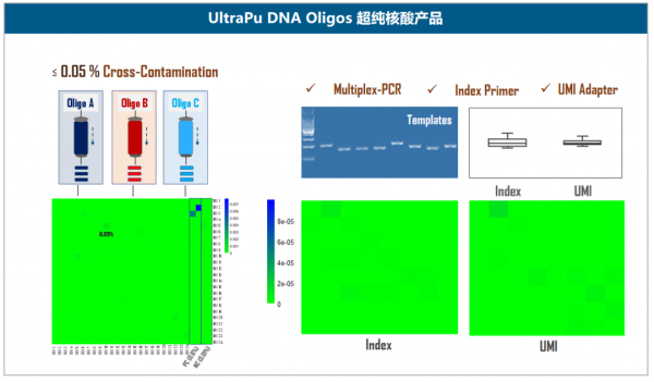 伯科高品質DNA合成技術實現多平臺靶向測序應用的領先水平 伯科高品質DNA合成技術實現多平臺靶向測序應用的領先水平