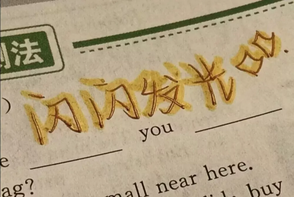 你願不願意做我的玫瑰，唯一的，我養的