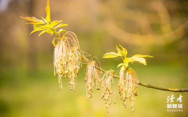 讀書到底是什麼,10位名家這樣說 讀書到底是什麼,10位名家這樣說