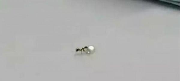 珠寶店角落一隻螞蟻在偷鑽石，店員：要不是及時發現，它就成功了