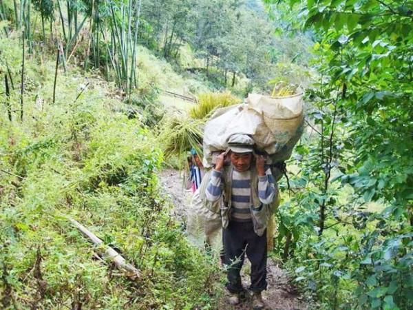 80歲老人墓穴生活實紀：在山上種地養蜂，生活悠然自得