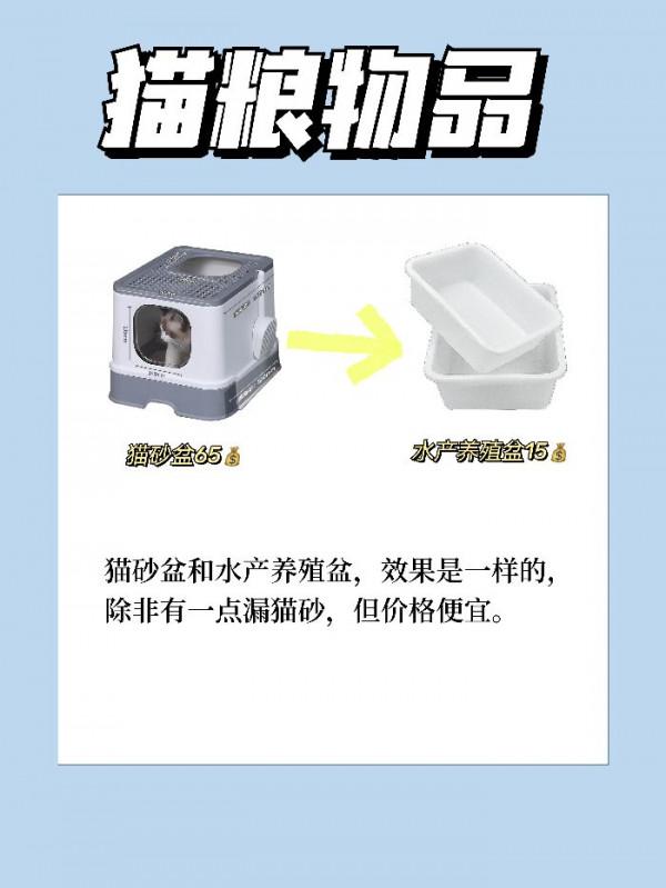 貓咪這些便宜好用的東西你還不知道嗎？