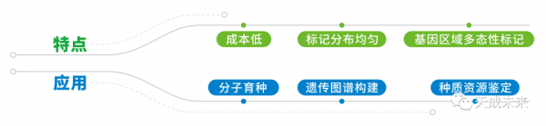 最新小麥SNP晶片及外顯子捕獲晶片