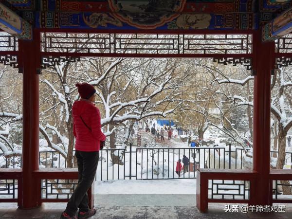 難覽觀園全畫景 雪覆臘梅一隅香&mdash;&mdash;踏雪尋遊北京大觀園
