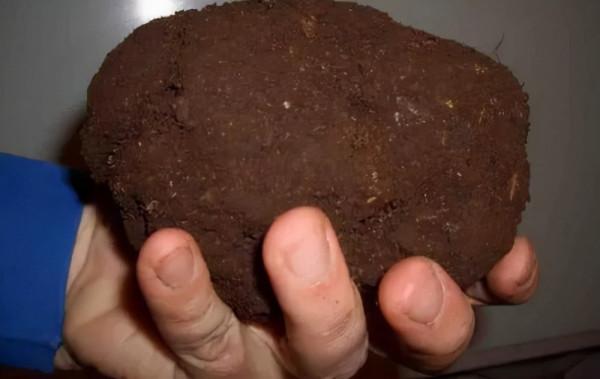 野釣試試這兩種打窩方法，專門針對鯉魚和草魚，魚口一竿接一竿