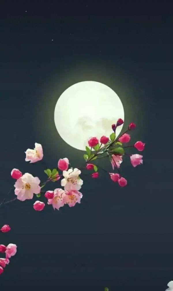 《月中嫦娥舞蹁躚》