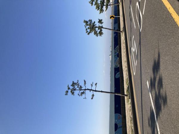 我於我內心所想 我於我內心所想